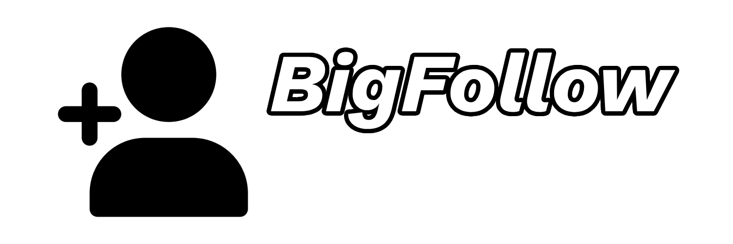 BigFollows